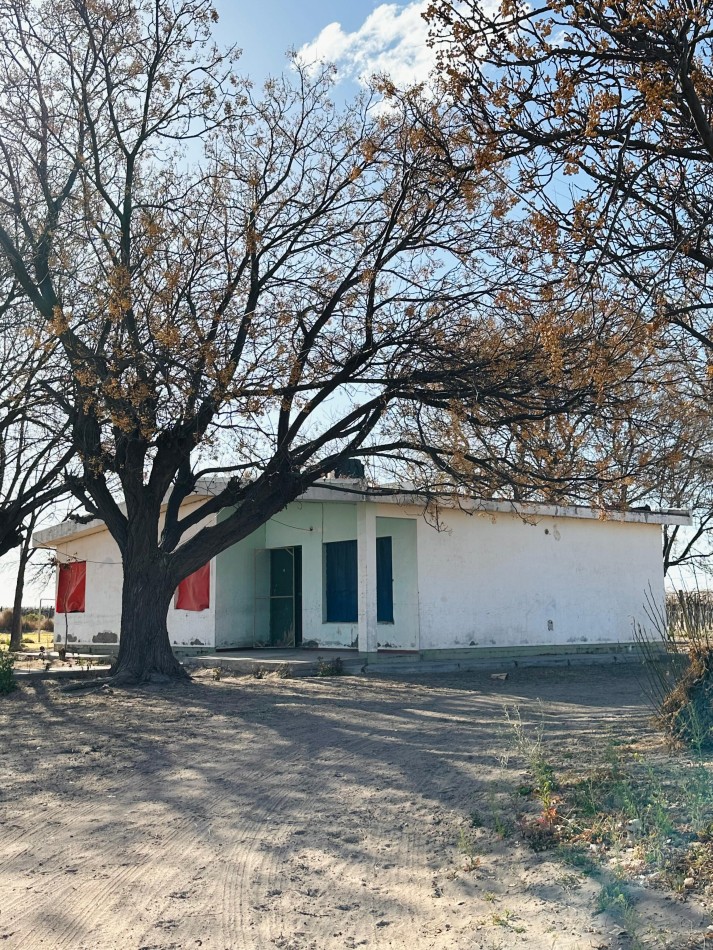 GREENWOOD VENDE EXCELENTE FINCA EN EL ESTE DE LA PROVINCIA FRENTE A RUTA 7