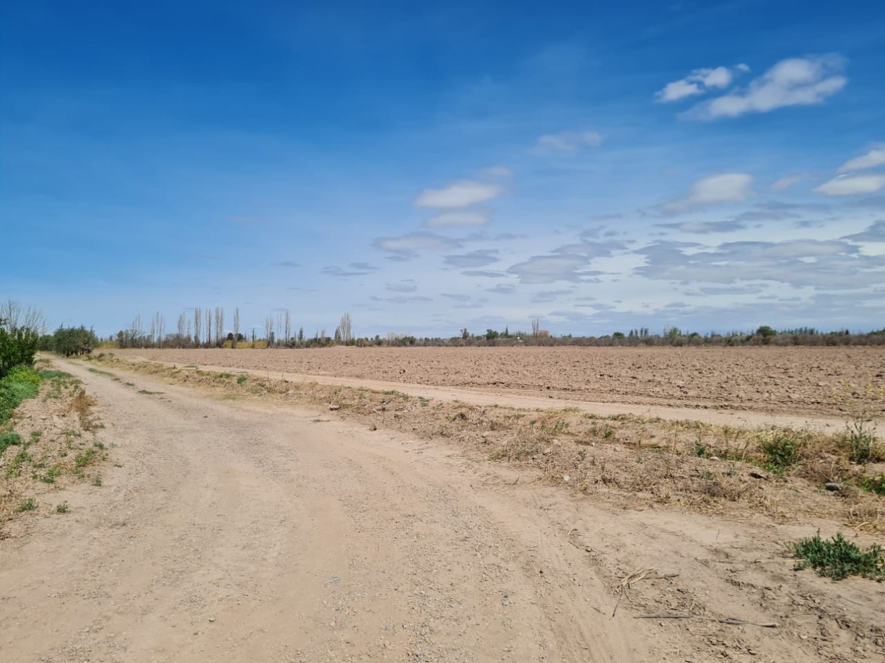 GREENWOOD VENDE FINCA EN EXCELENTES CONDICIONES, DERECHO DE RIEGO Y POZO PROPIO EN MAIPU