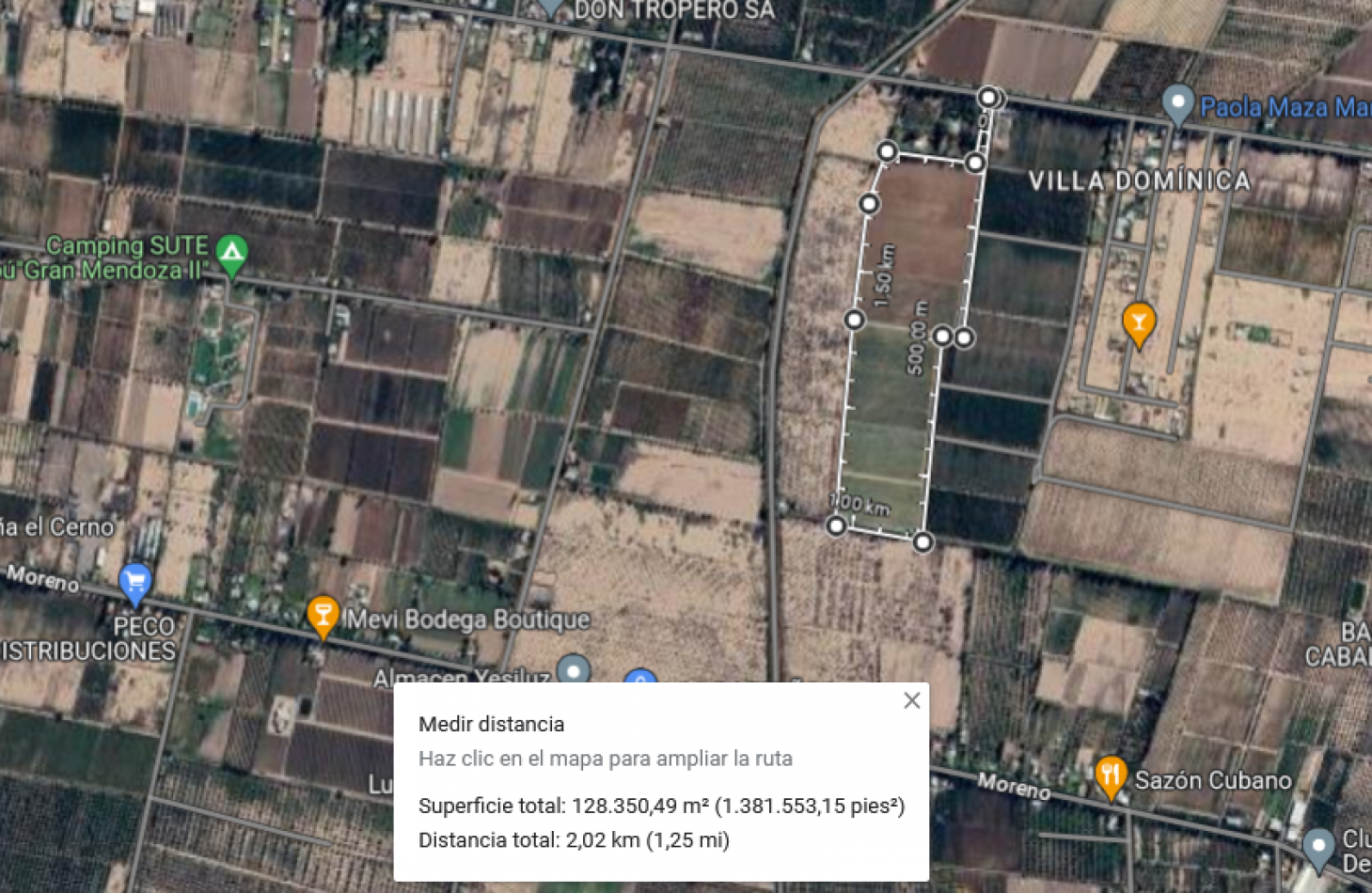 GREENWOOD VENDE FINCA EN EXCELENTES CONDICIONES, DERECHO DE RIEGO Y POZO PROPIO EN MAIPU