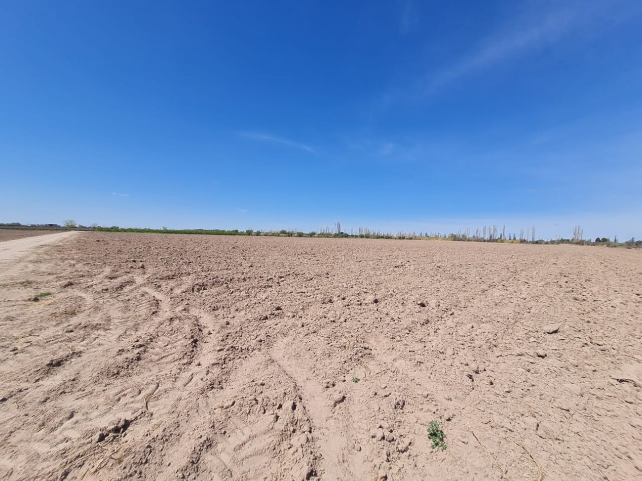 GREENWOOD VENDE FINCA EN EXCELENTES CONDICIONES, DERECHO DE RIEGO Y POZO PROPIO EN MAIPU