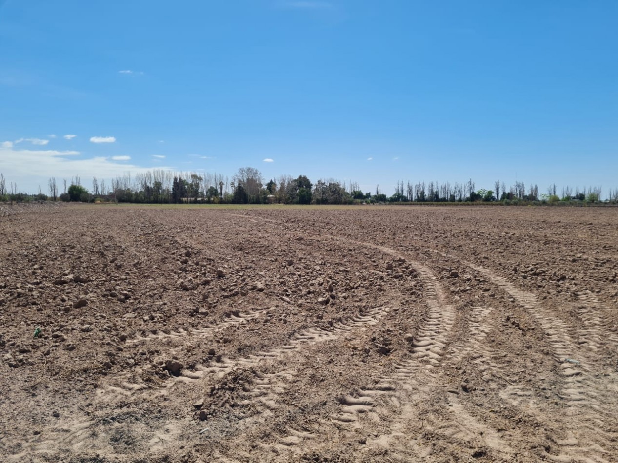 GREENWOOD VENDE FINCA EN EXCELENTES CONDICIONES, DERECHO DE RIEGO Y POZO PROPIO EN MAIPU