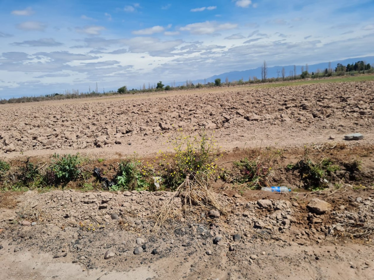 GREENWOOD VENDE FINCA EN EXCELENTES CONDICIONES, DERECHO DE RIEGO Y POZO PROPIO EN MAIPU
