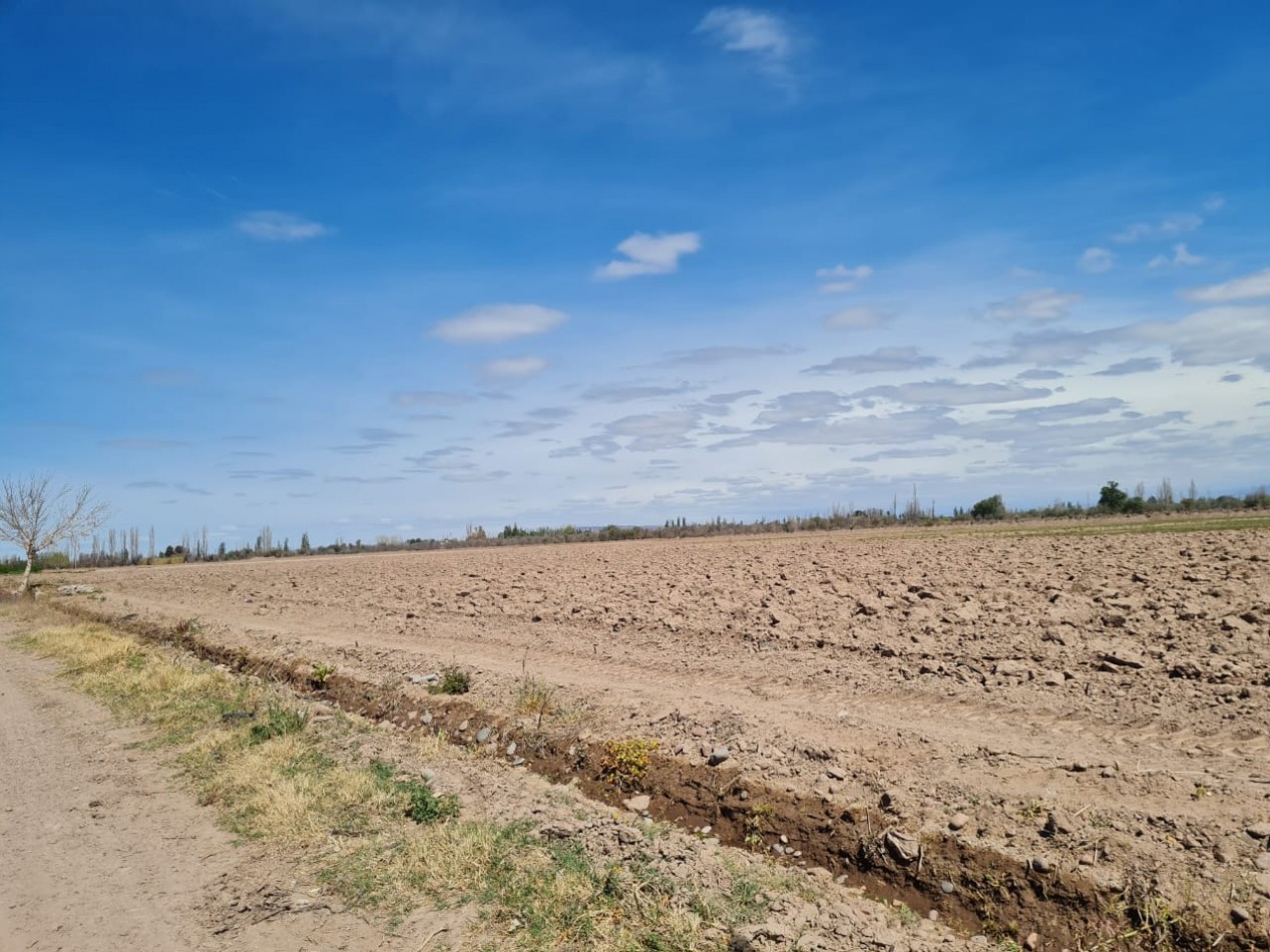 GREENWOOD VENDE FINCA EN EXCELENTES CONDICIONES, DERECHO DE RIEGO Y POZO PROPIO EN MAIPU
