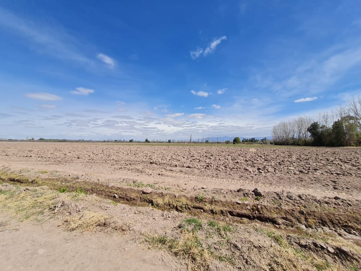 GREENWOOD VENDE FINCA EN EXCELENTES CONDICIONES, DERECHO DE RIEGO Y POZO PROPIO EN MAIPU