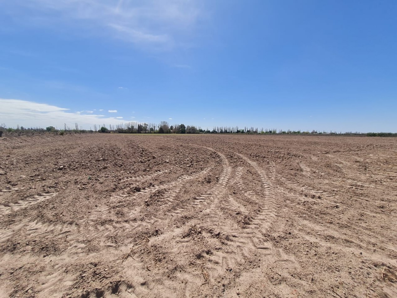 GREENWOOD VENDE FINCA EN EXCELENTES CONDICIONES, DERECHO DE RIEGO Y POZO PROPIO EN MAIPU