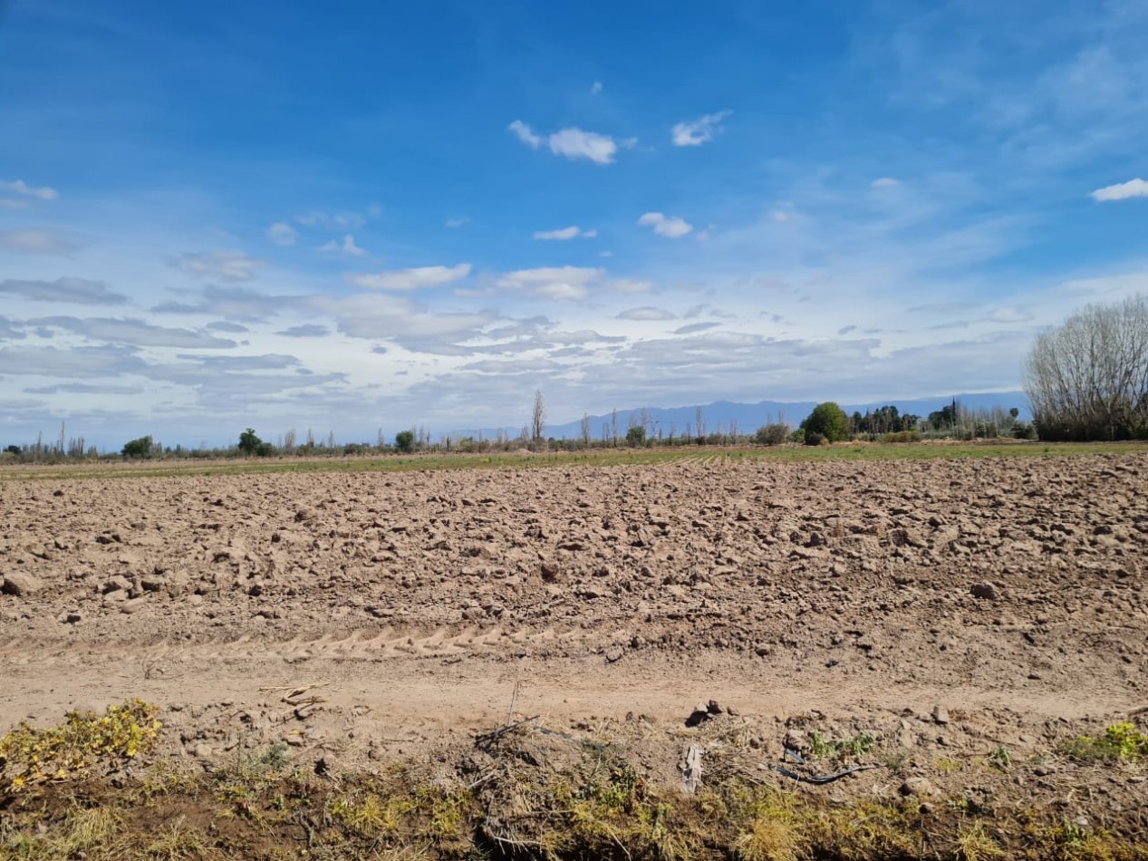 GREENWOOD VENDE FINCA EN EXCELENTES CONDICIONES, DERECHO DE RIEGO Y POZO PROPIO EN MAIPU