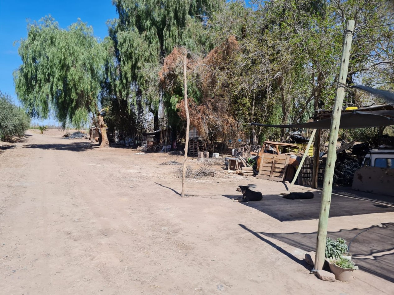 GREENWOOD VENDE FINCA EN EXCELENTES CONDICIONES, DERECHO DE RIEGO Y POZO PROPIO EN MAIPU