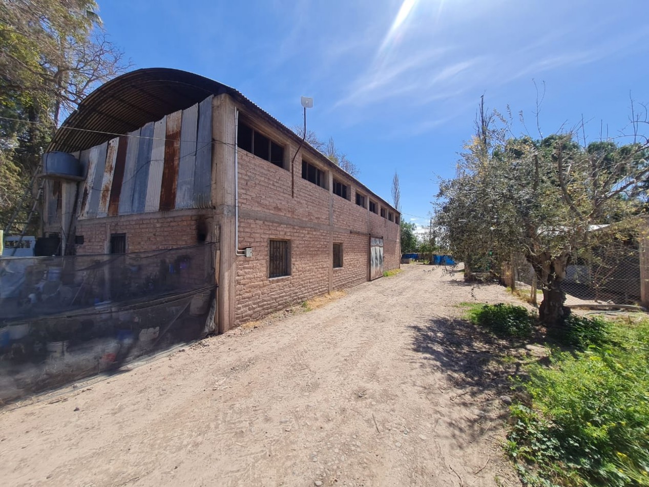 GREENWOOD VENDE FINCA EN EXCELENTES CONDICIONES, DERECHO DE RIEGO Y POZO PROPIO EN MAIPU