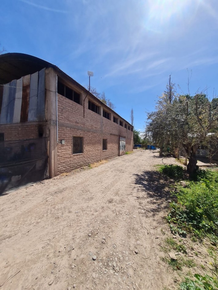 GREENWOOD VENDE FINCA EN EXCELENTES CONDICIONES, DERECHO DE RIEGO Y POZO PROPIO EN MAIPU