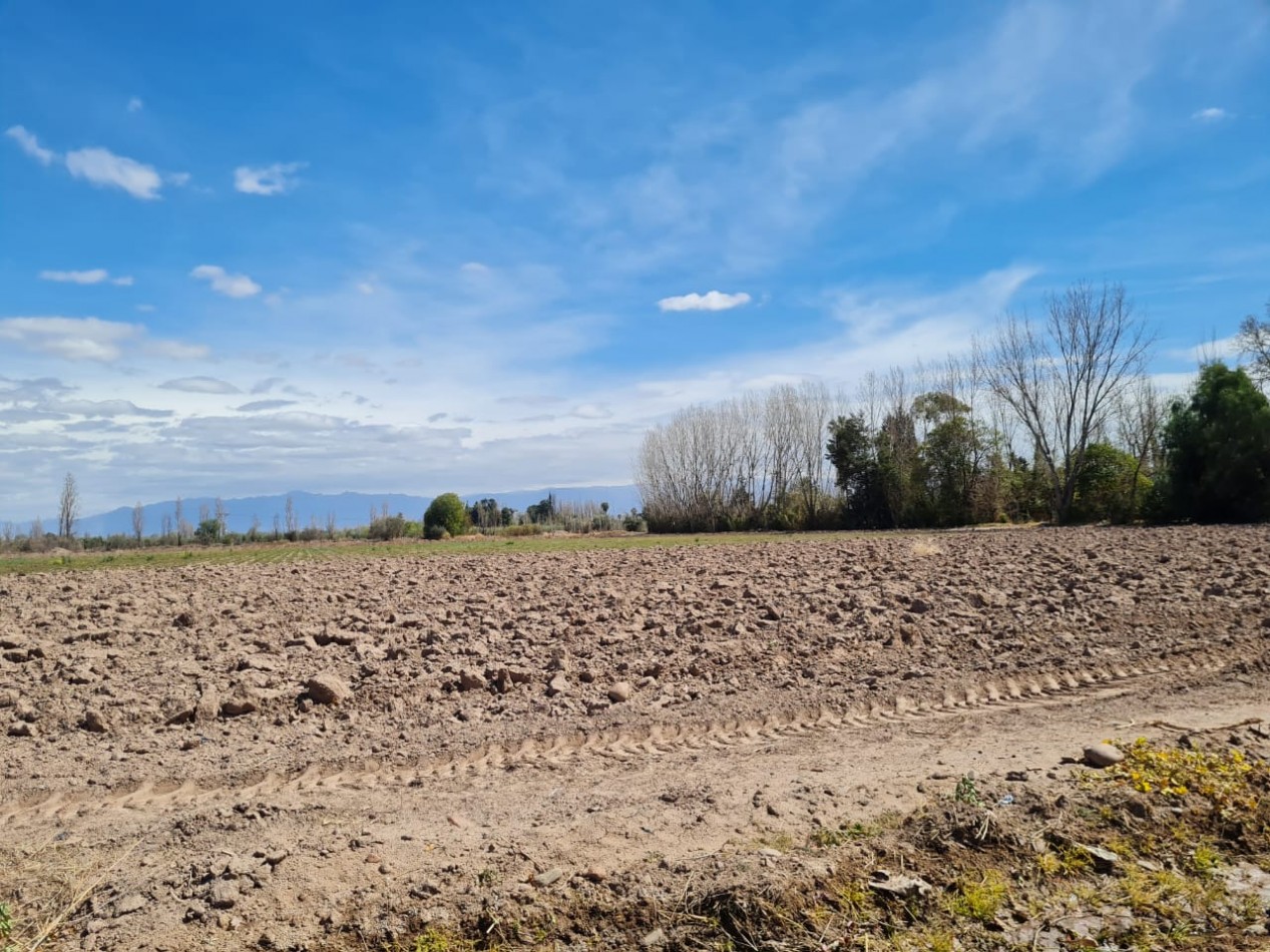 GREENWOOD VENDE FINCA EN EXCELENTES CONDICIONES, DERECHO DE RIEGO Y POZO PROPIO EN MAIPU