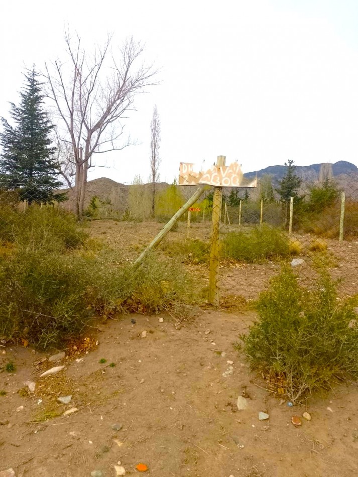 GREENWOOD VENDE EXCEPCIONAL LOTE AL PIE DEL CERRO EL CRISTO EN VILLA EL SALTO, POTRERILLOS