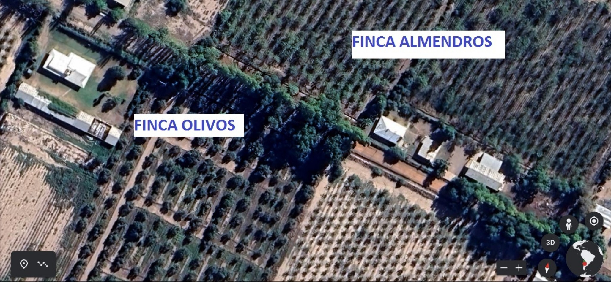 GREENWOOD VENDE IMPECABLE FINCA DE OLIVOS CON CASA PATRONAL Y QUINCHO, IDEAL EMPRENDIMIENTOS