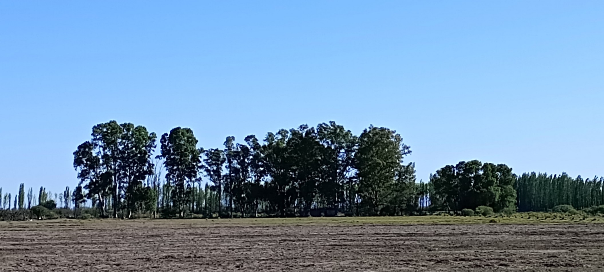 GREENWOOD VENDE EXCELENTES TIERRAS EN SAN RAFAEL, FINCA EN COLONIA ELENA PARA CULTIVOS Y GANADERIA INTENSIVA