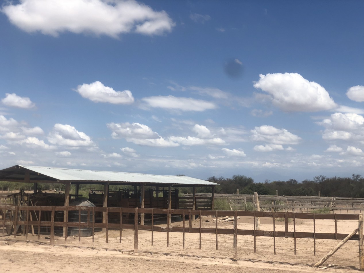 GREENWOOD INVERSIONES INMOBILIARIAS VENDE CAMPO GANADERO