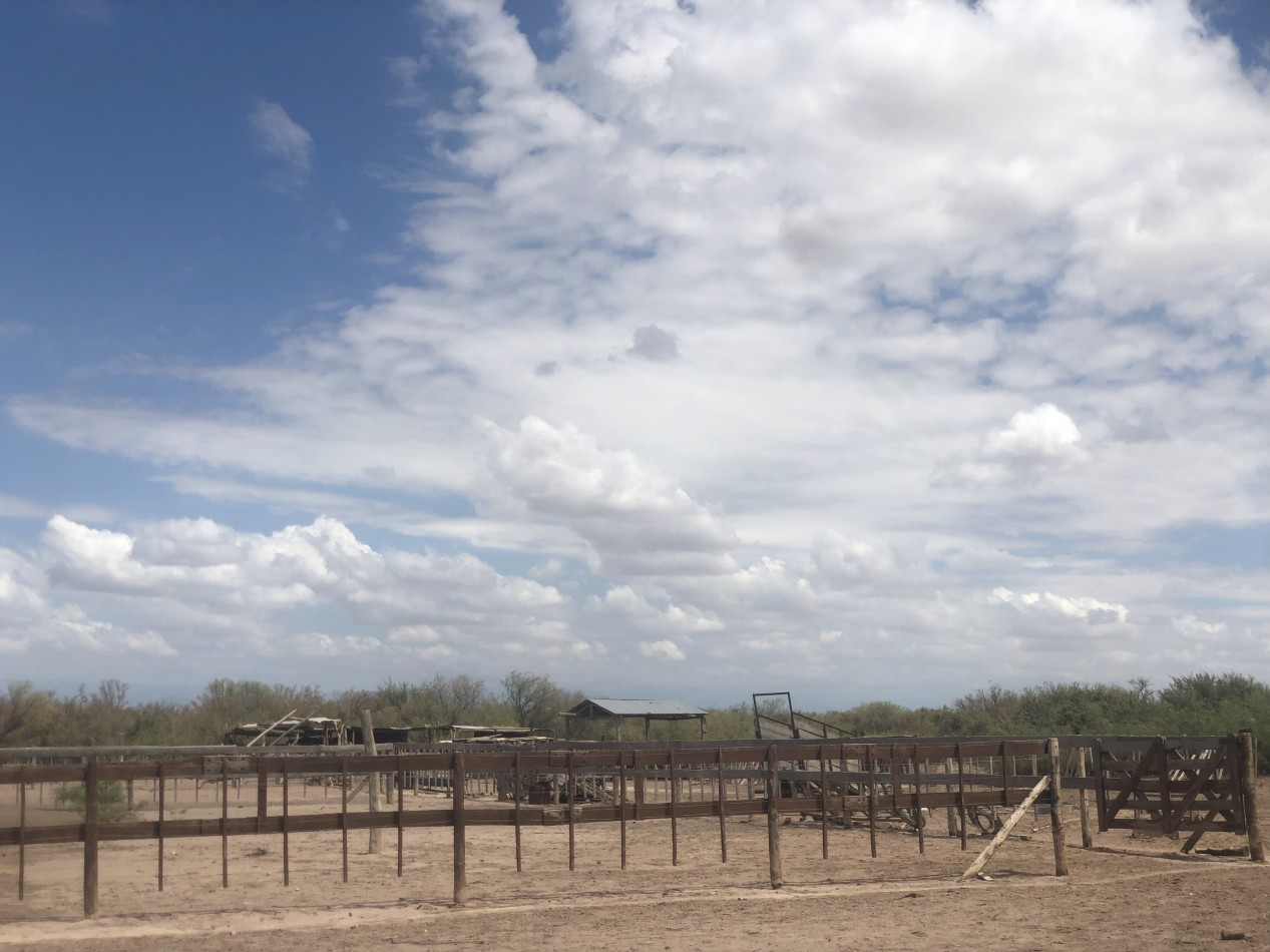 GREENWOOD INVERSIONES INMOBILIARIAS VENDE CAMPO GANADERO