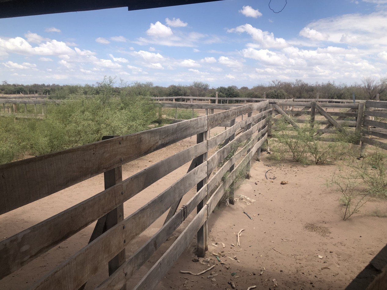 GREENWOOD INVERSIONES INMOBILIARIAS VENDE CAMPO GANADERO
