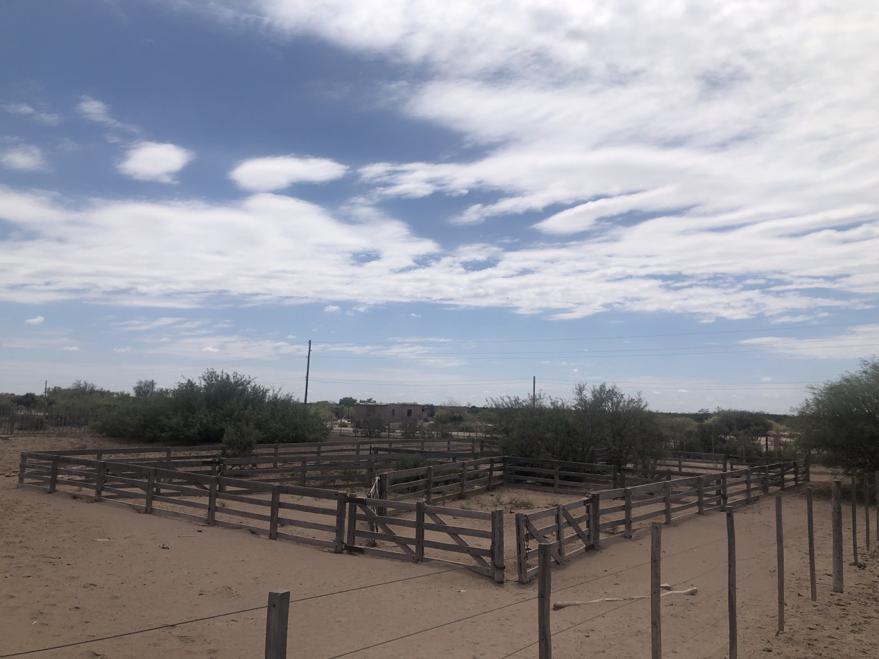 GREENWOOD INVERSIONES INMOBILIARIAS VENDE CAMPO GANADERO