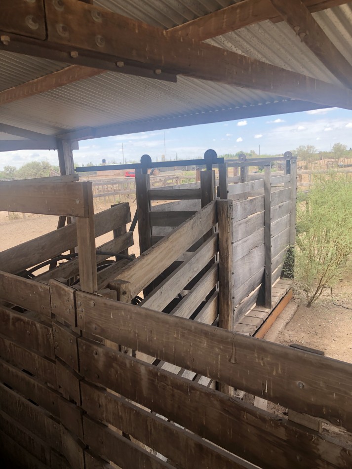 GREENWOOD INVERSIONES INMOBILIARIAS VENDE CAMPO GANADERO