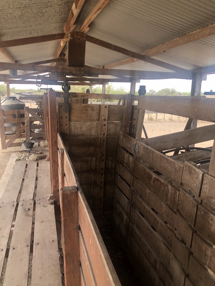 GREENWOOD INVERSIONES INMOBILIARIAS VENDE CAMPO GANADERO