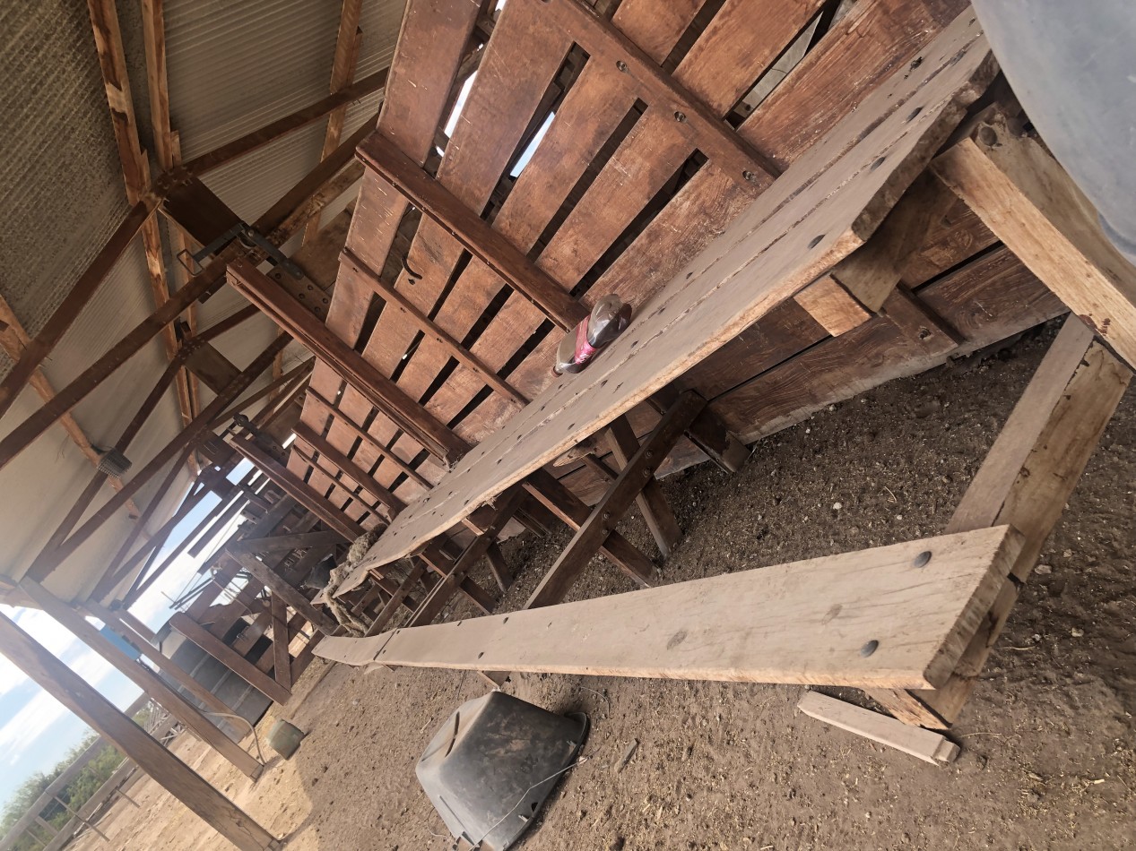 GREENWOOD INVERSIONES INMOBILIARIAS VENDE CAMPO GANADERO