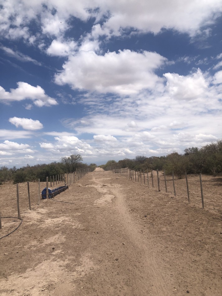 GREENWOOD INVERSIONES INMOBILIARIAS VENDE CAMPO GANADERO