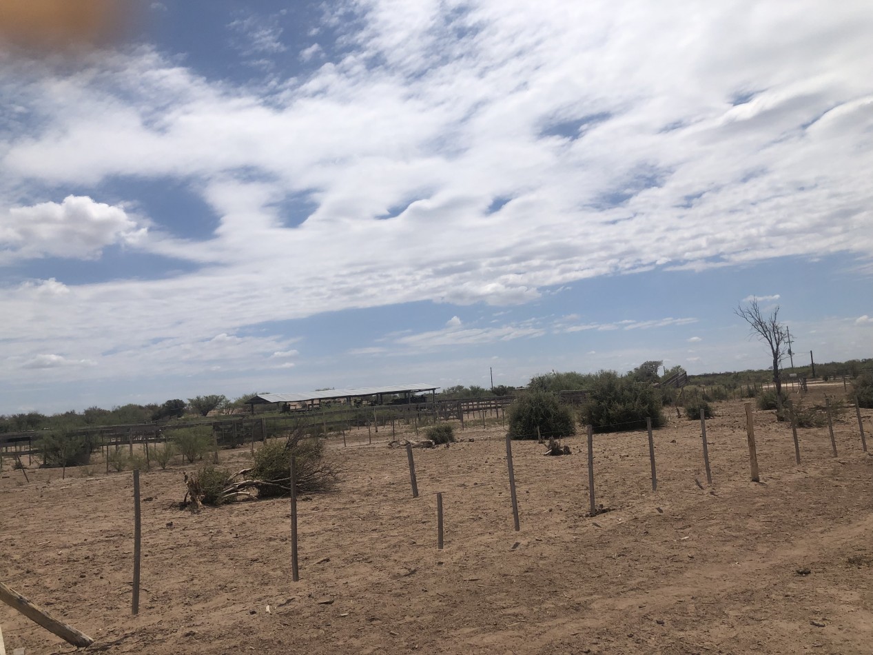 GREENWOOD INVERSIONES INMOBILIARIAS VENDE CAMPO GANADERO