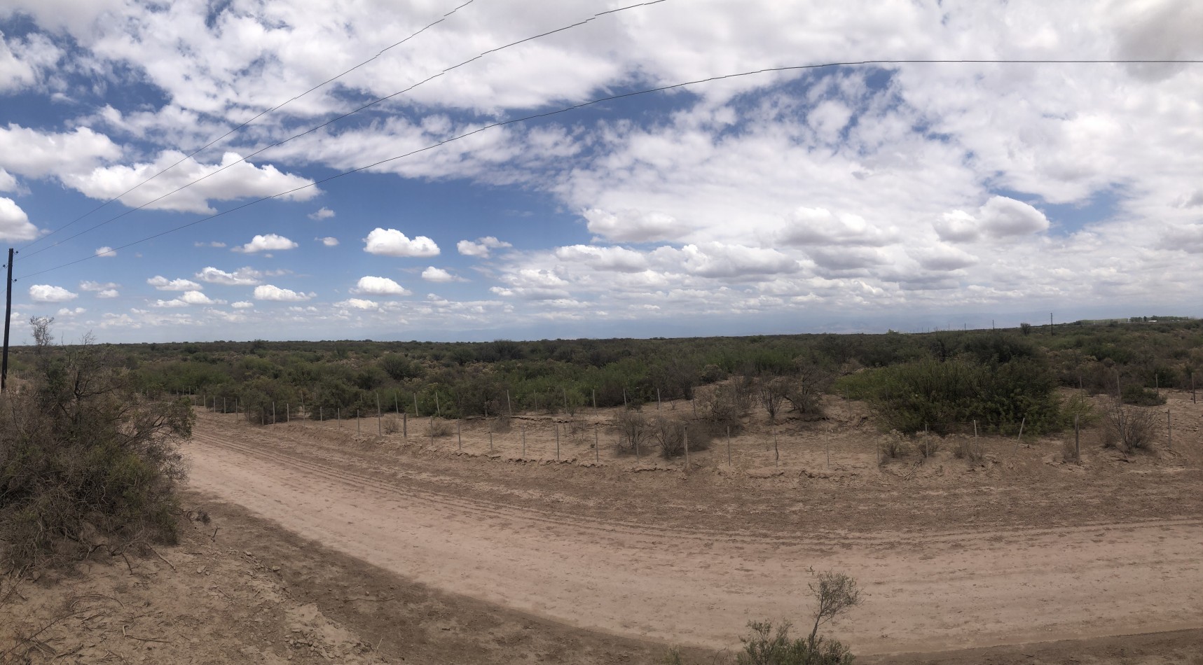 GREENWOOD INVERSIONES INMOBILIARIAS VENDE CAMPO GANADERO