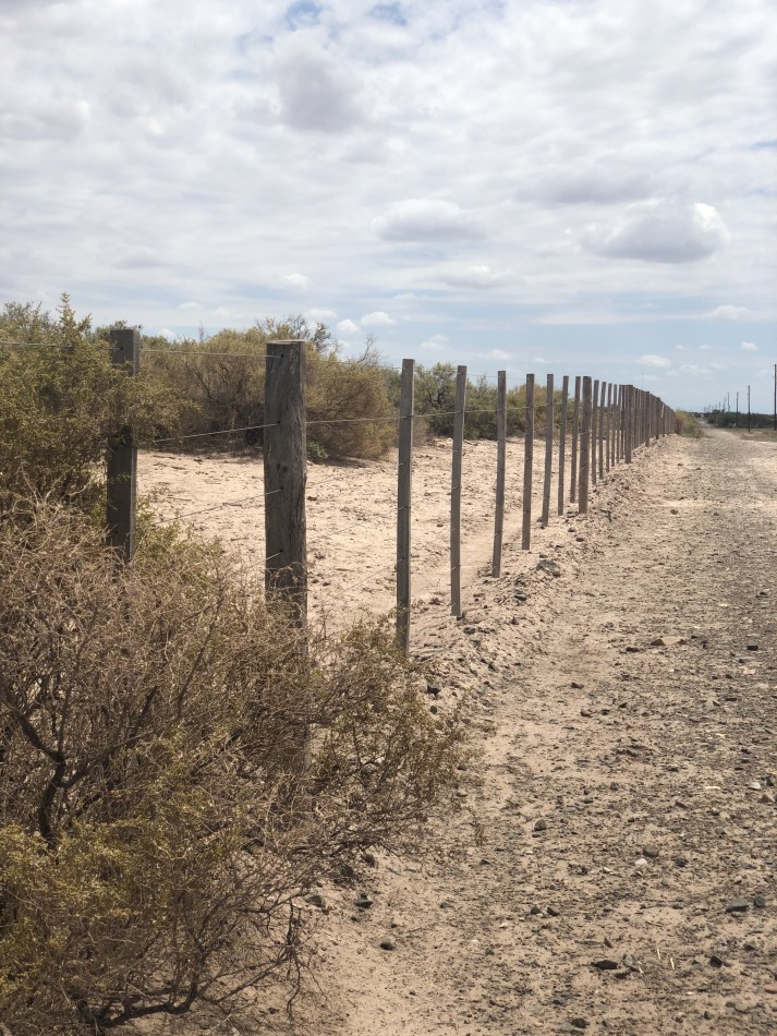 GREENWOOD INVERSIONES INMOBILIARIAS VENDE CAMPO GANADERO