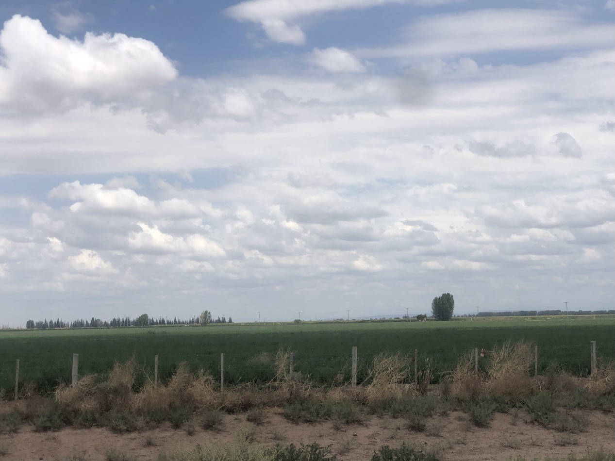 GREENWOOD INVERSIONES INMOBILIARIAS VENDE CAMPO GANADERO