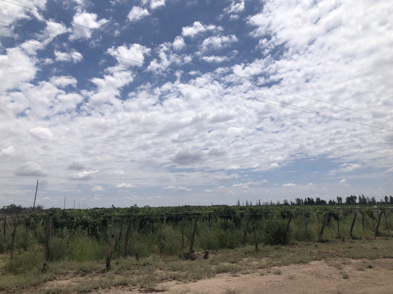 GREENWOOD INVERSIONES INMOBILIARIAS VENDE CAMPO GANADERO