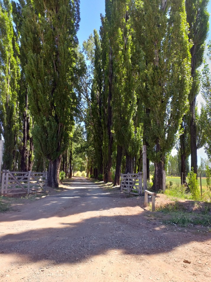 GREENWOOD INVERSIONES INMOBILIARIAS VENDE FINCA LISTA PARA CULTIVAR