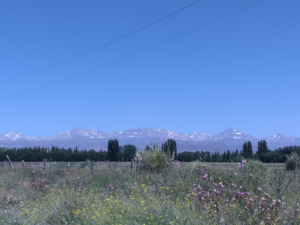 GREENWOOD INVERSIONES INMOBILIARIA PRESENTA EL PRIMER BARRIO PRIVADO DE MALARGUE, SUR DE MENDOZA,  LOS ABEDULES 