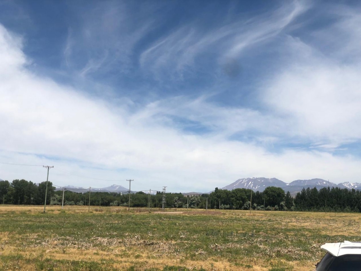 GREENWOOD INVERSIONES INMOBILIARIA PRESENTA EL PRIMER BARRIO PRIVADO DE MALARGUE, SUR DE MENDOZA,  LOS ABEDULES 