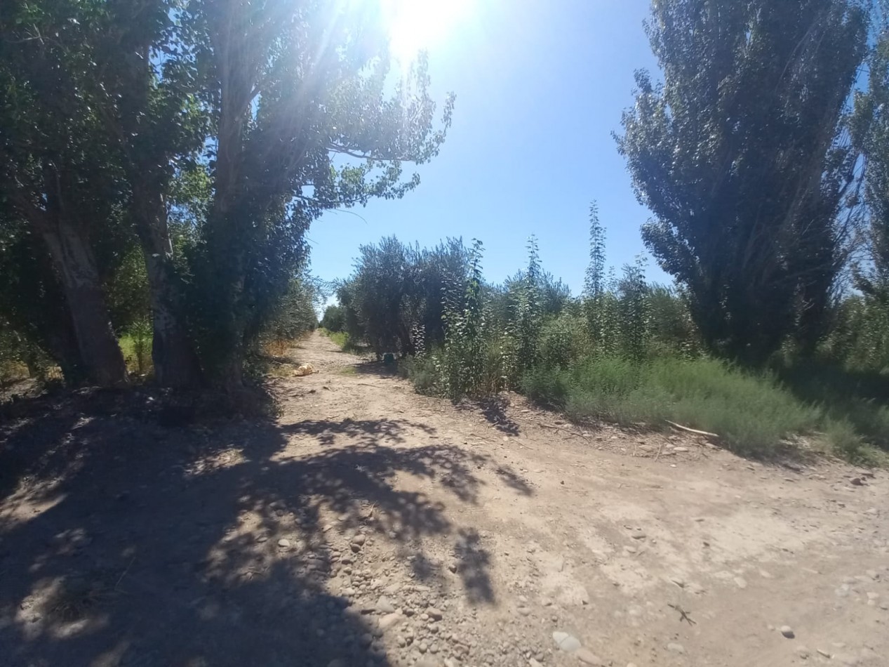GREENWOOD VENDE LOTES DE 1 HECTAREA EN MAIPU 