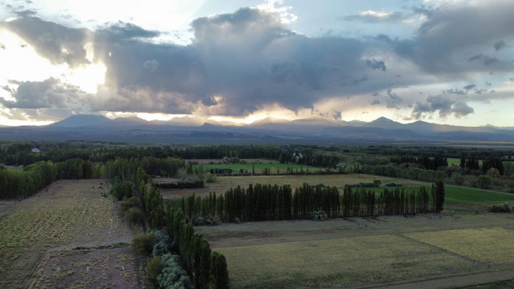 GREENWOOD INVERSIONES INMOBILIARIA PRESENTA EL PRIMER BARRIO PRIVADO DE MALARGUE, SUR DE MENDOZA,  LOS ABEDULES 