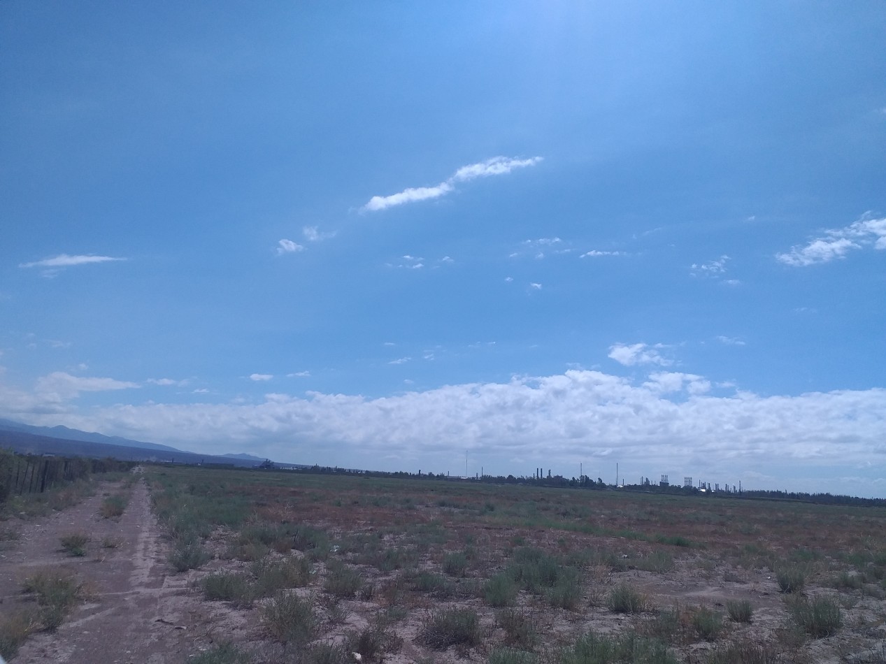 GREENWOOD INMOBILIARIA VENDE TERRENO LIBRE EN ZONA INDUSTRIAL LUJAN DE CUYO SOBRE RUTA NACIONAL 7 CORREDOR BIOCEANICO A CHILE. 
