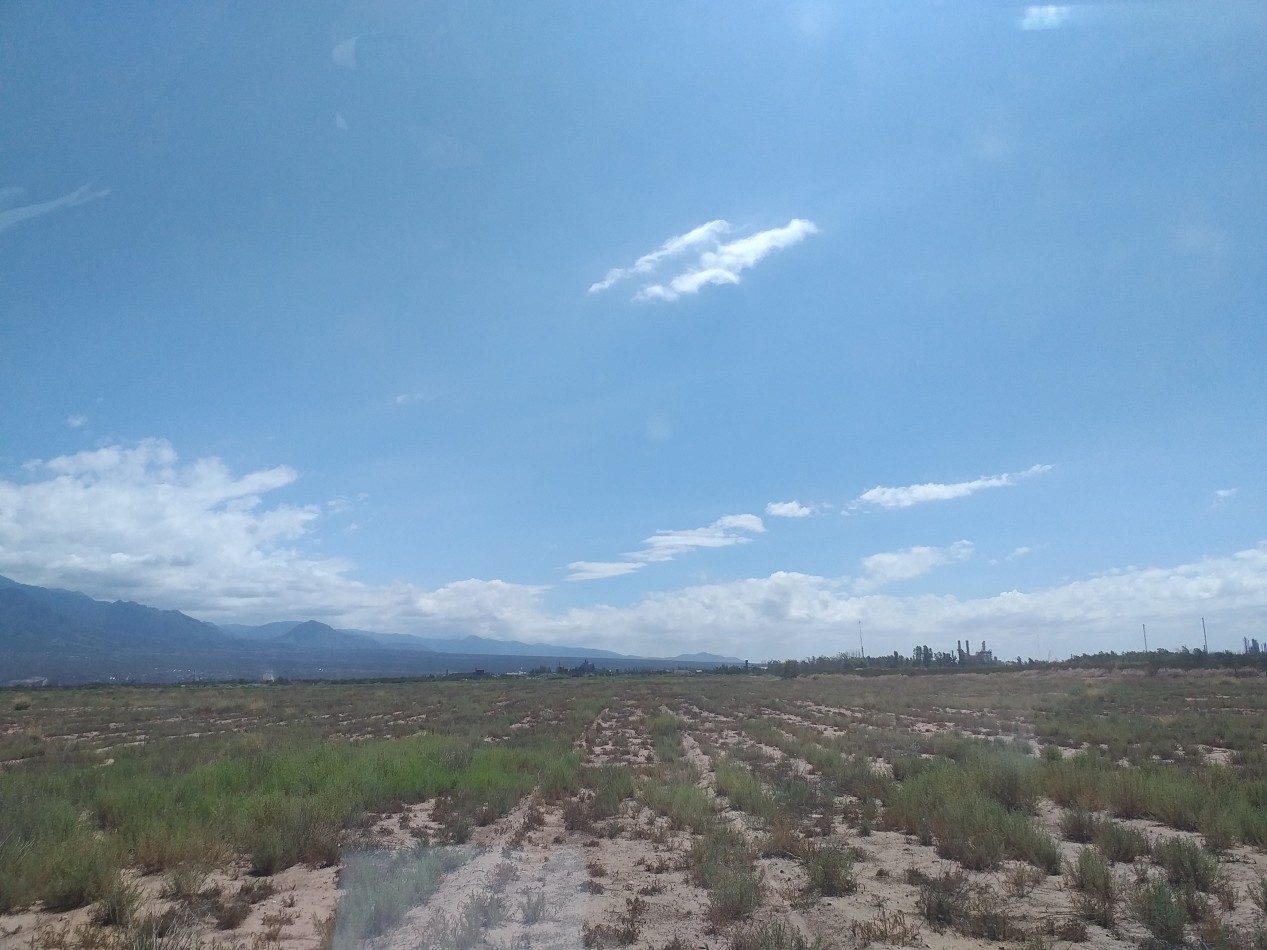 GREENWOOD INMOBILIARIA VENDE TERRENO LIBRE EN ZONA INDUSTRIAL LUJAN DE CUYO SOBRE RUTA NACIONAL 7 CORREDOR BIOCEANICO A CHILE. 