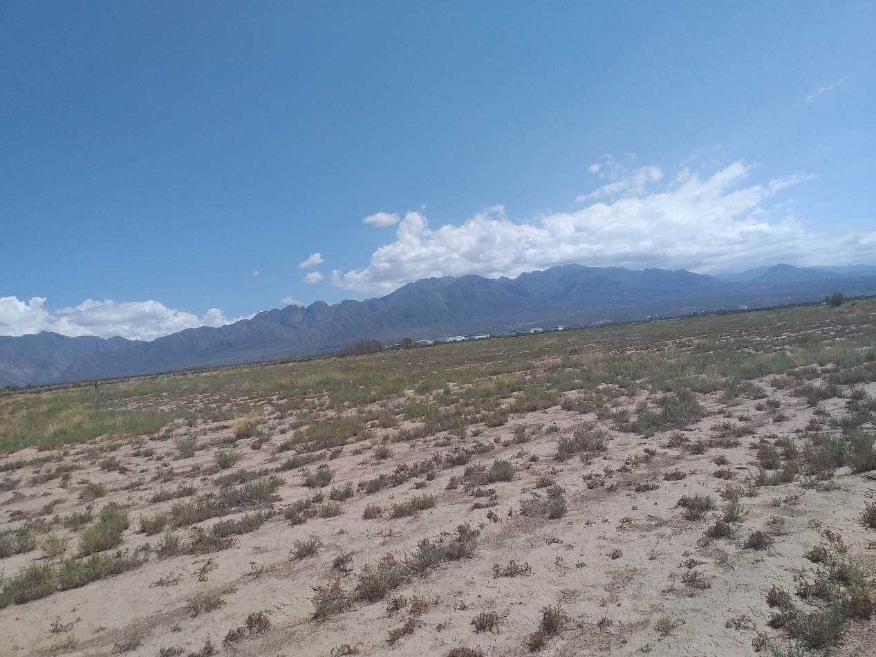 GREENWOOD INMOBILIARIA VENDE TERRENO LIBRE EN ZONA INDUSTRIAL LUJAN DE CUYO SOBRE RUTA NACIONAL 7 CORREDOR BIOCEANICO A CHILE. 