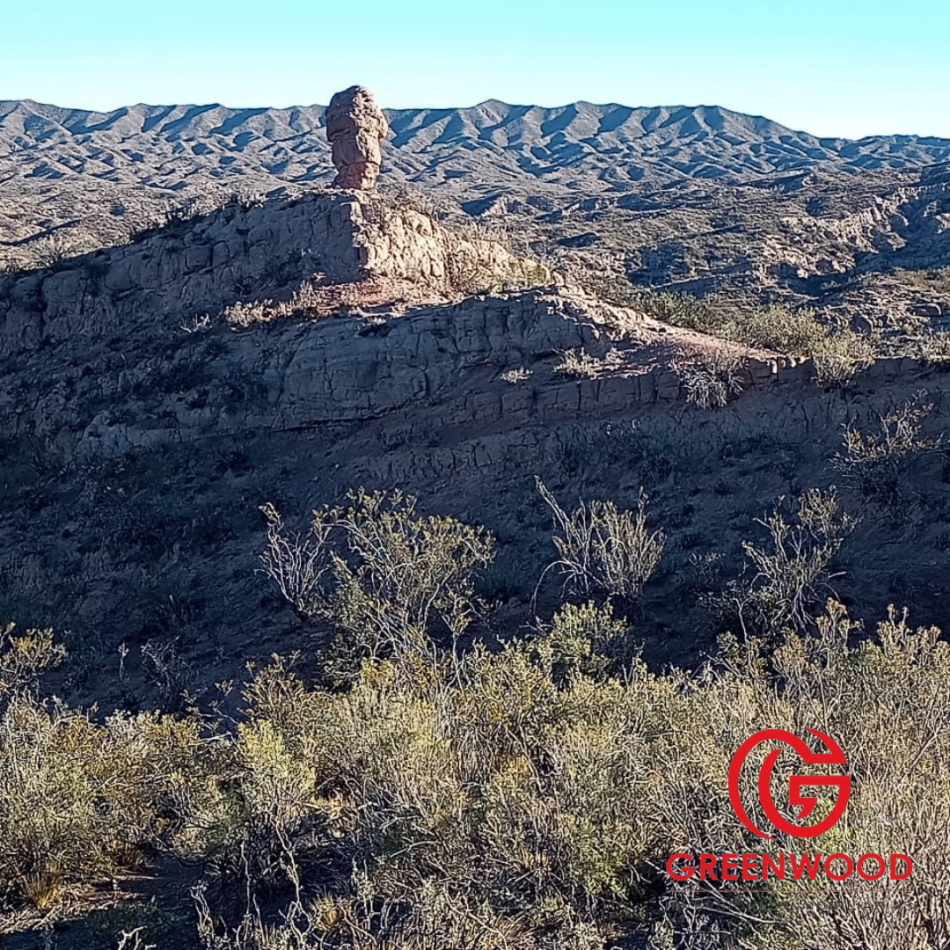 GRENWOOD INVERSIONES INMOBILIARIAS VENDE CAMPO EN CACHEUTA
