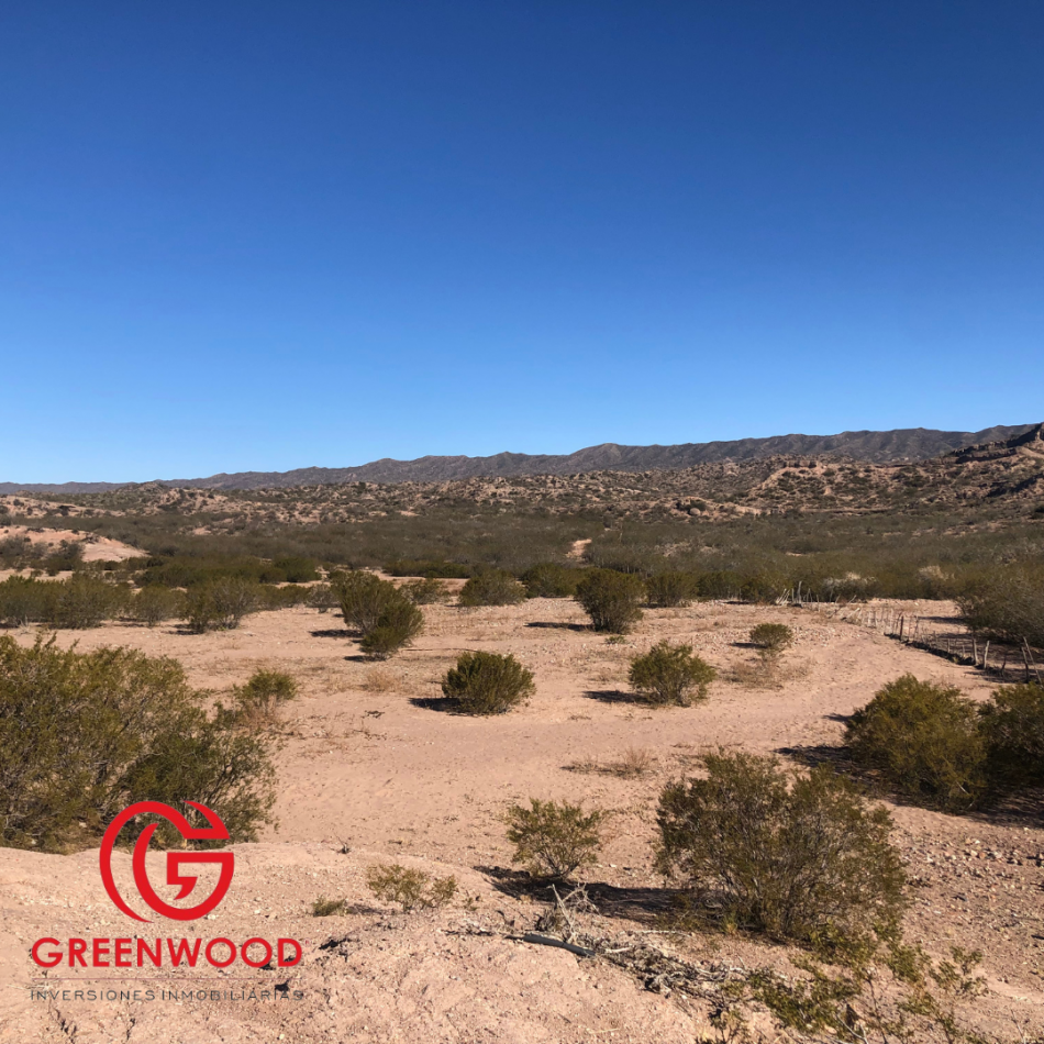 GRENWOOD INVERSIONES INMOBILIARIAS VENDE CAMPO EN CACHEUTA