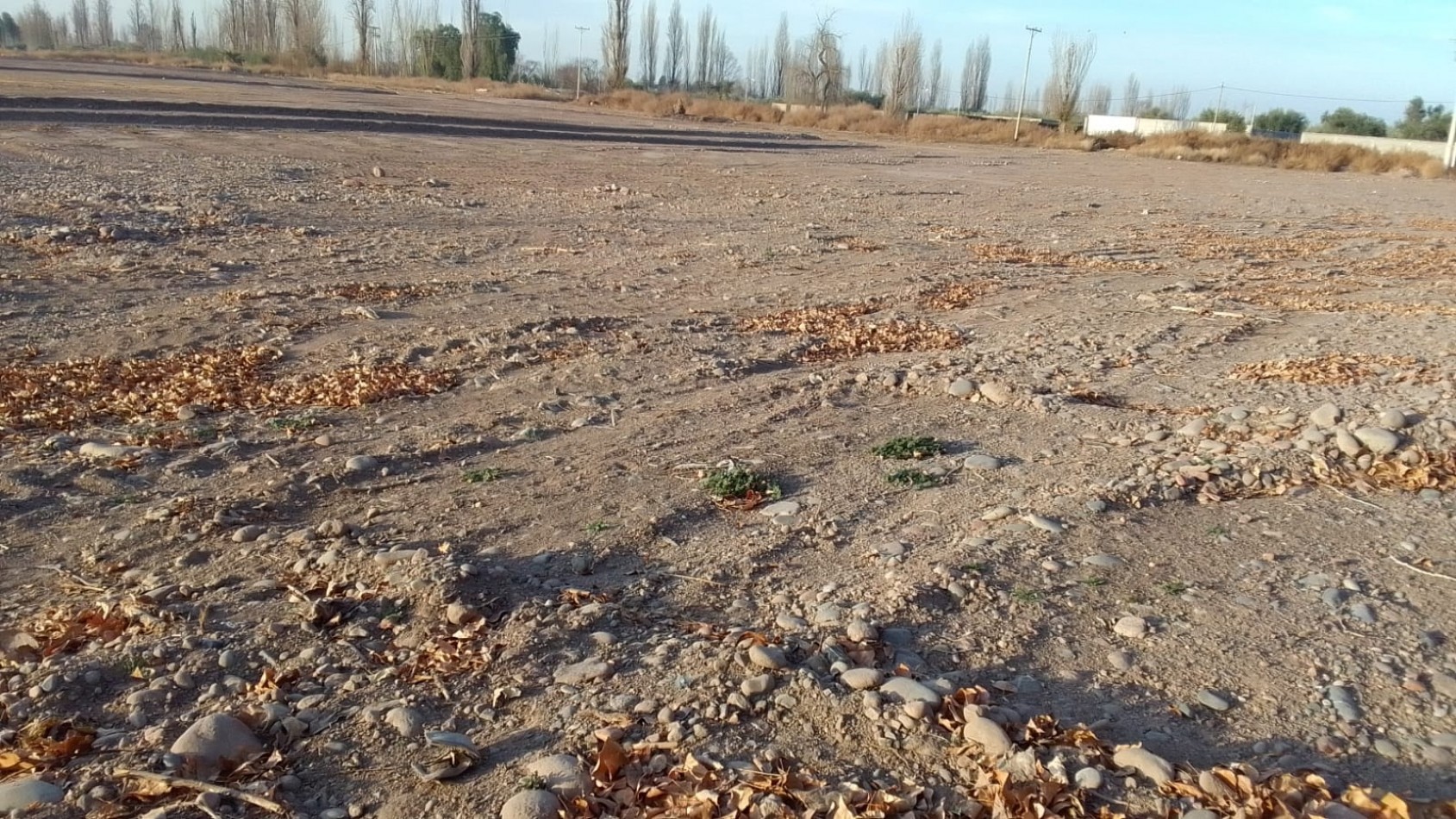 Greenwood Vende Lote en Maipu