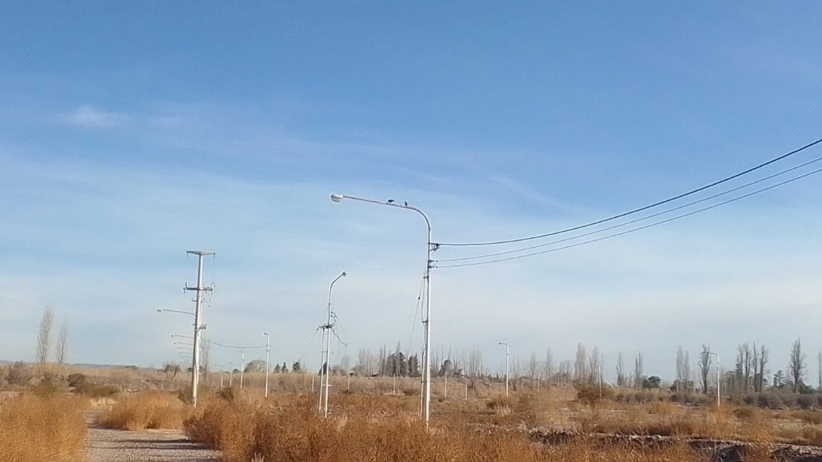 GREENWOOD VENDE LOTE EN BARRIO PRIVADO