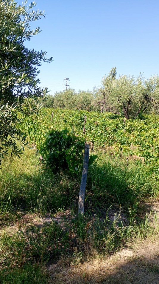 GREENWOOD INMOBILIARIA VENDE LOTE EN MAIPU