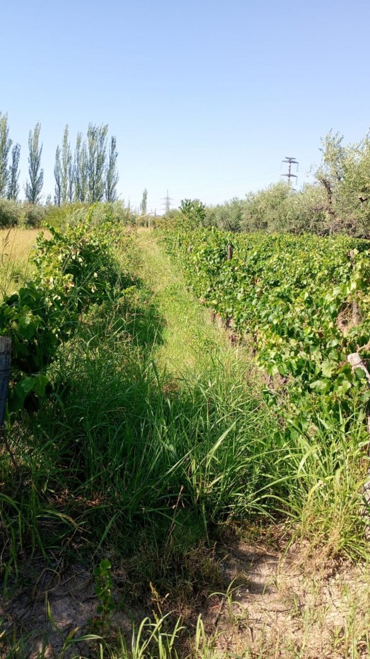 GREENWOOD INMOBILIARIA VENDE LOTE EN MAIPU