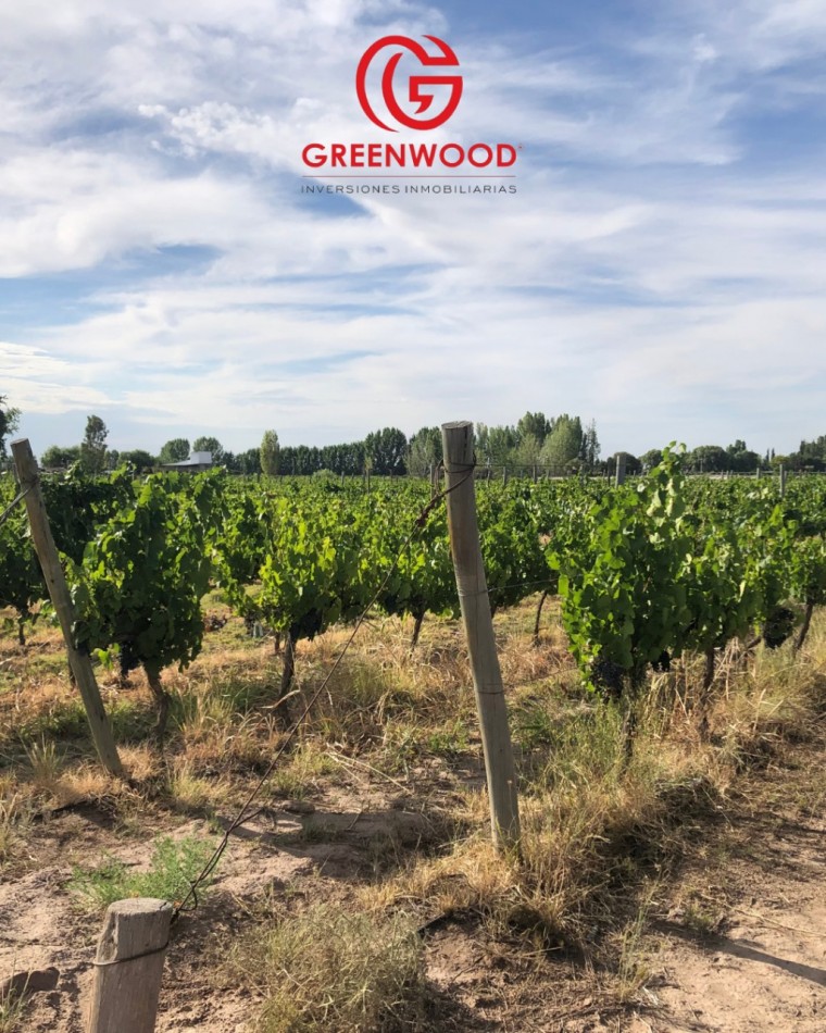GREENWOOD INVERSIONES INMOBILIARIAS VENDE FINCA UGARTECHE