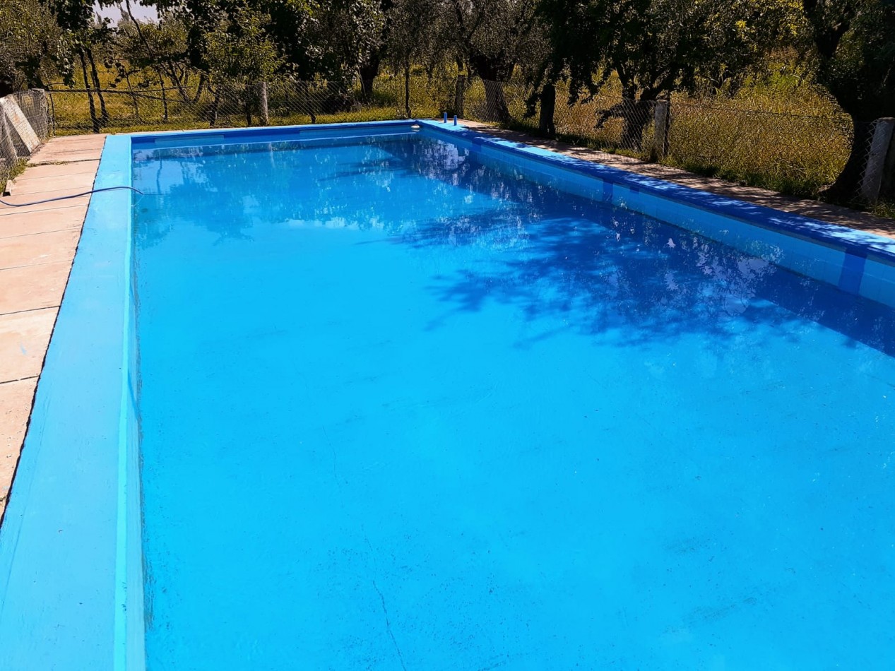 GREENWOOD VENDE FINCA OLIVAR EN PRODUCCION EN MAIPU.