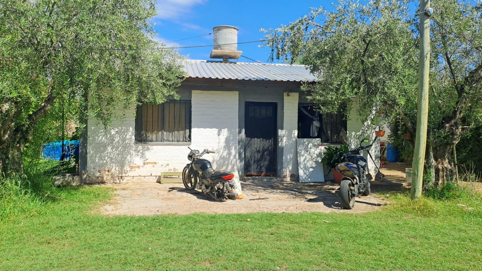 GREENWOOD VENDE FINCA OLIVAR EN PRODUCCION EN MAIPU.