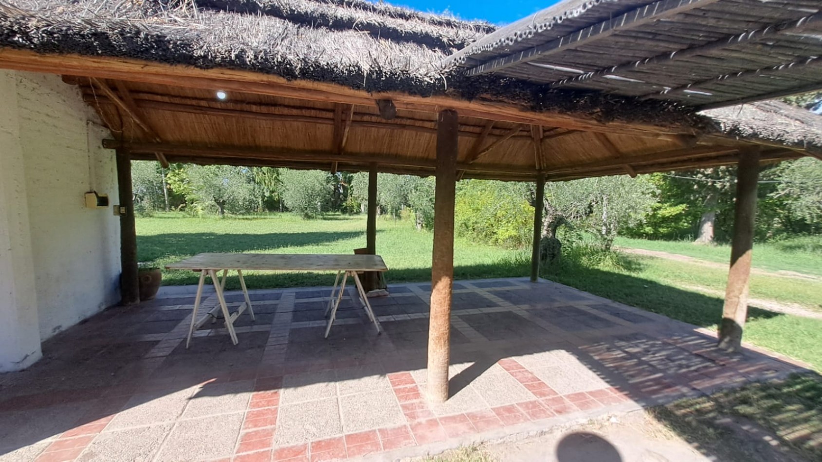GREENWOOD VENDE FINCA OLIVAR EN PRODUCCION EN MAIPU.