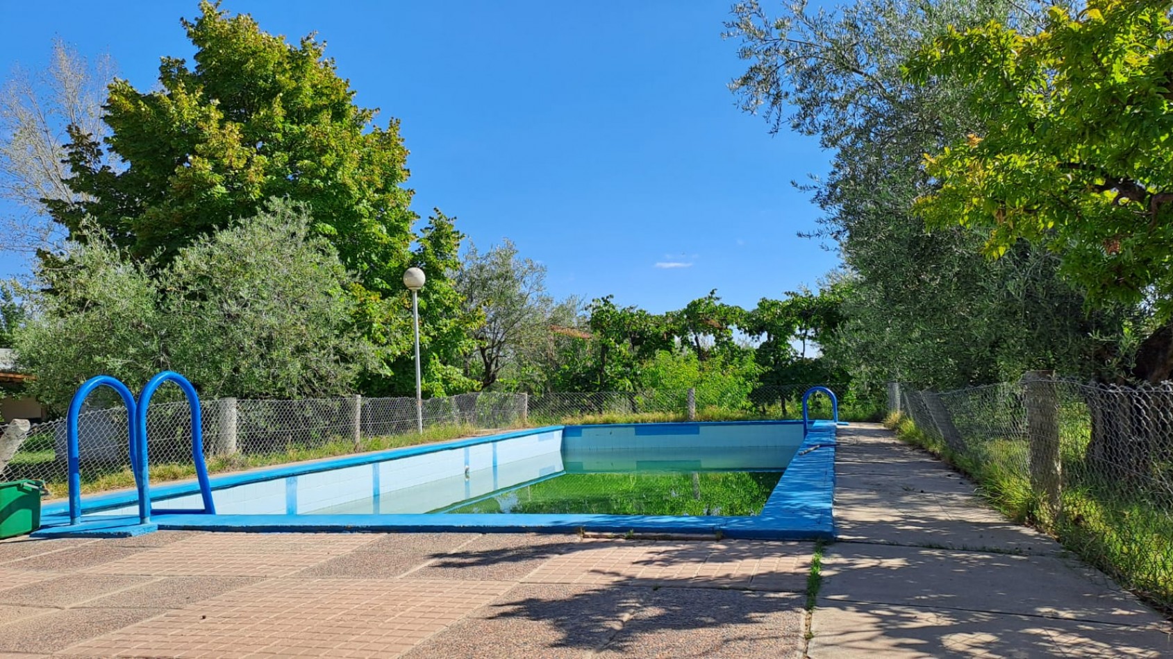 GREENWOOD VENDE FINCA OLIVAR EN PRODUCCION EN MAIPU.