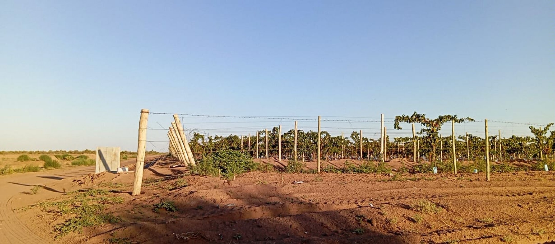 GREENWOOD TE OFRECE HERMOSA FINCA EN SANTA ROSA DE 400 HECTAREAS!